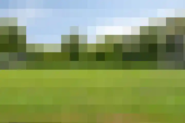 Kruiskamp 23 Eibergen thumbnail 36