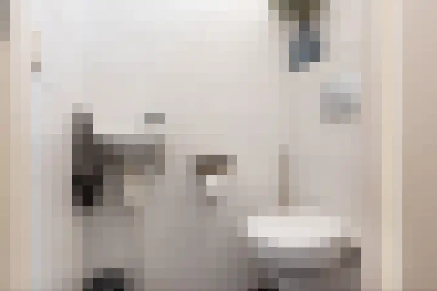 Kruiskamp 4 Eibergen thumbnail 12