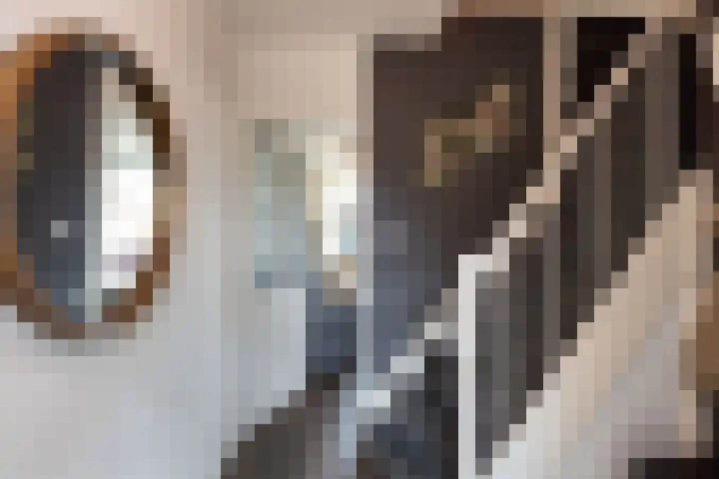 Kruiskamp 4 Eibergen thumbnail 14