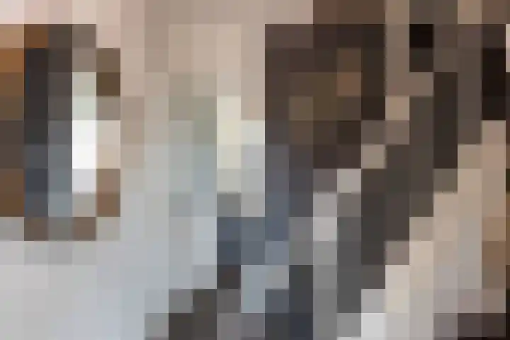 Kruiskamp 4 Eibergen thumbnail 14