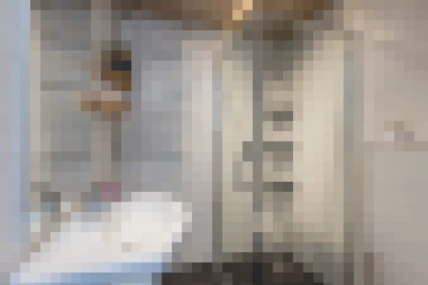 Kruiskamp 4 Eibergen thumbnail 22
