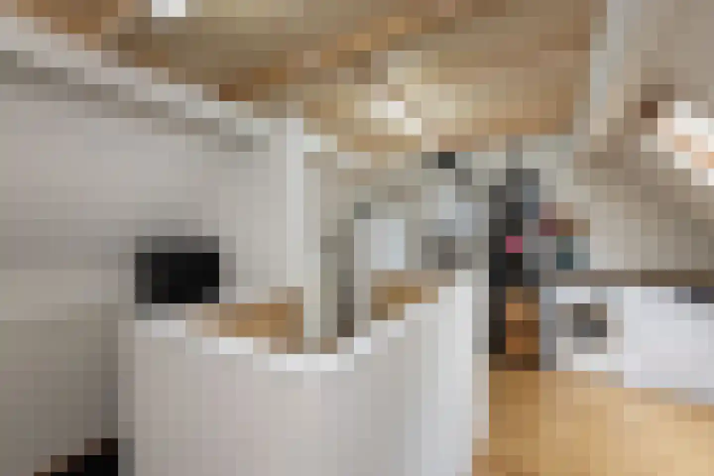 Kruiskamp 4 Eibergen thumbnail 25
