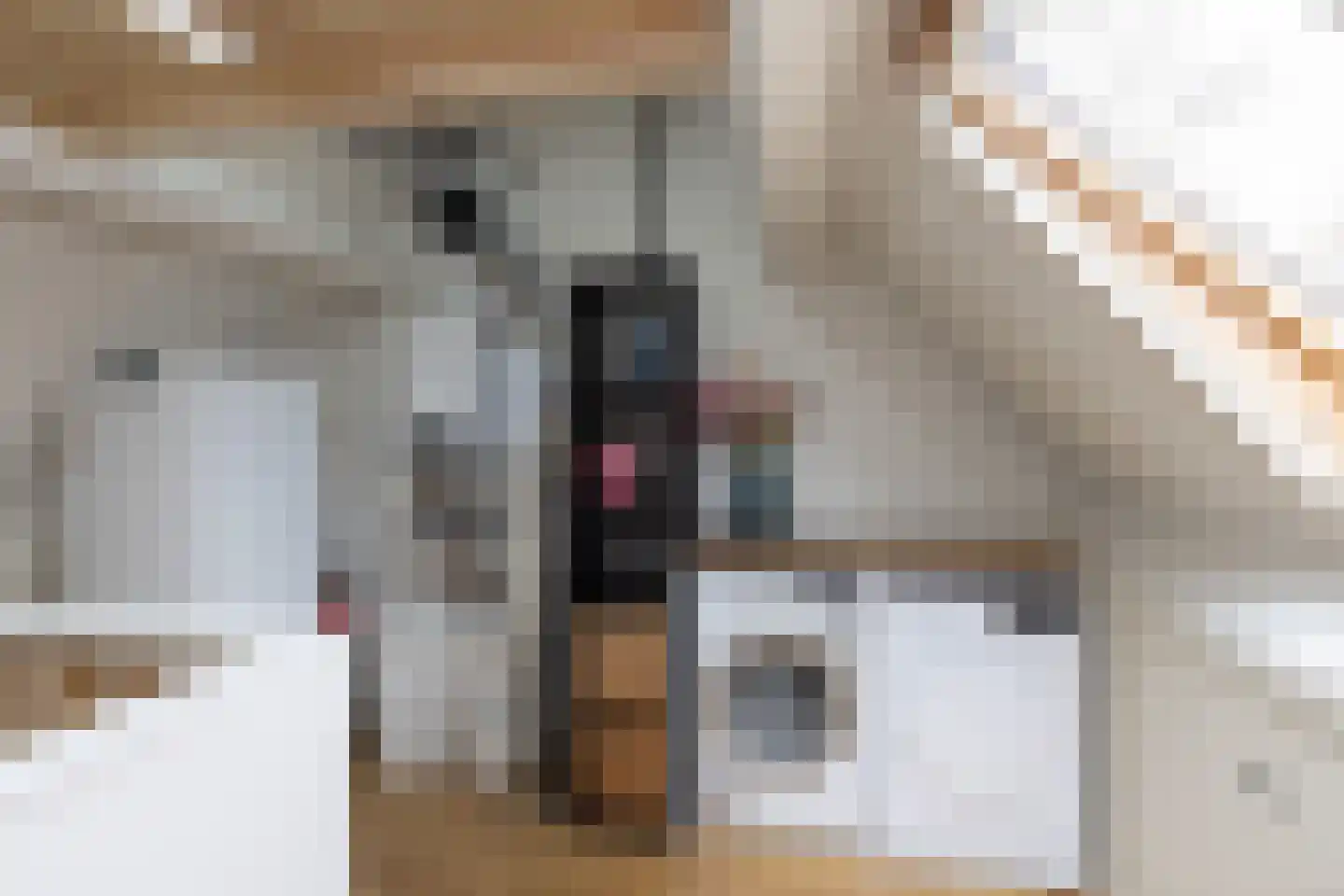 Kruiskamp 4 Eibergen thumbnail 26