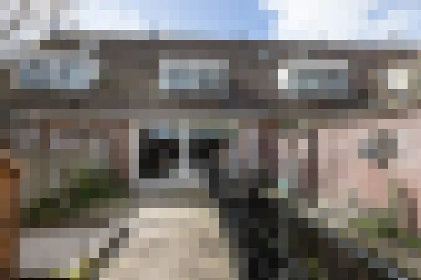 Kruiskamp 4 Eibergen thumbnail 27