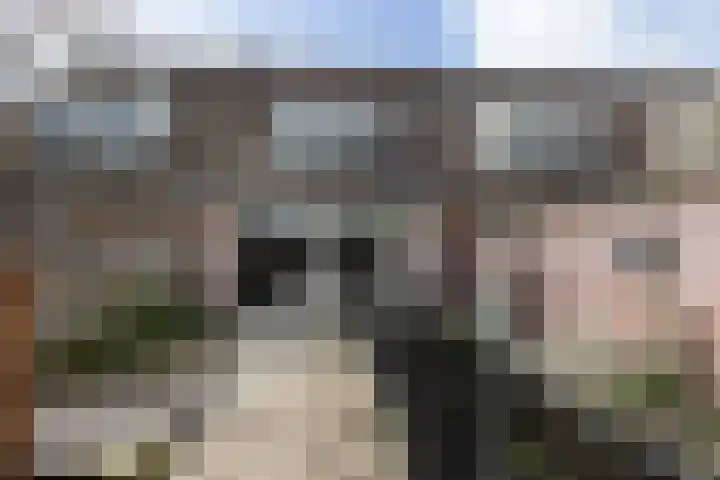 Kruiskamp 4 Eibergen thumbnail 27