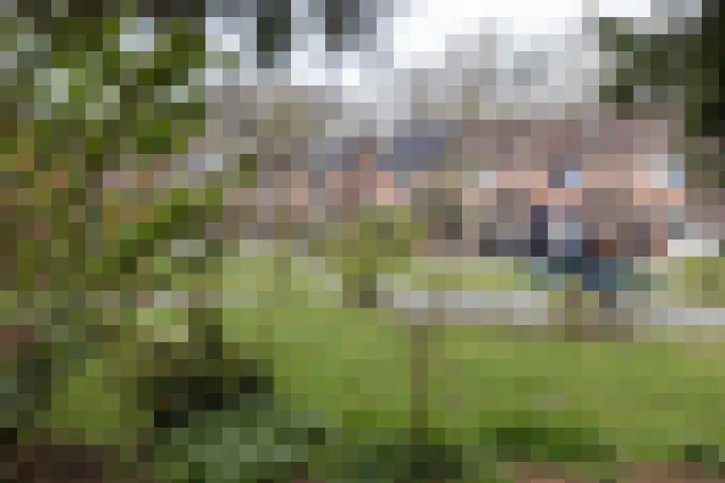 Kruiskamp 4 Eibergen thumbnail 32