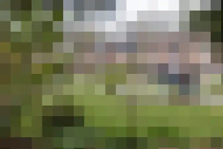 Kruiskamp 4 Eibergen thumbnail 32