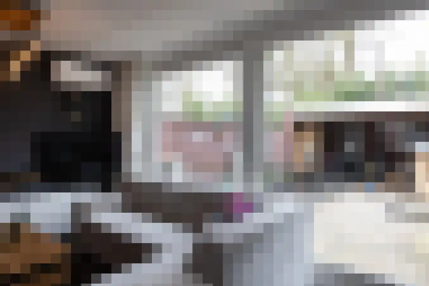 Kruiskamp 4 Eibergen thumbnail 5