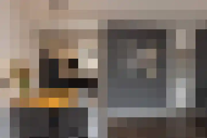 Kruiskamp 4 Eibergen thumbnail 9