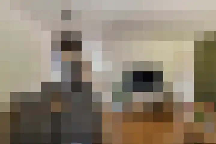 Kruiskamp 46 Eibergen thumbnail 15