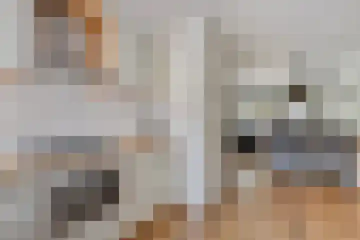 Kruiskamp 46 Eibergen thumbnail 18