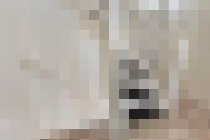 Kruiskamp 46 Eibergen thumbnail 20