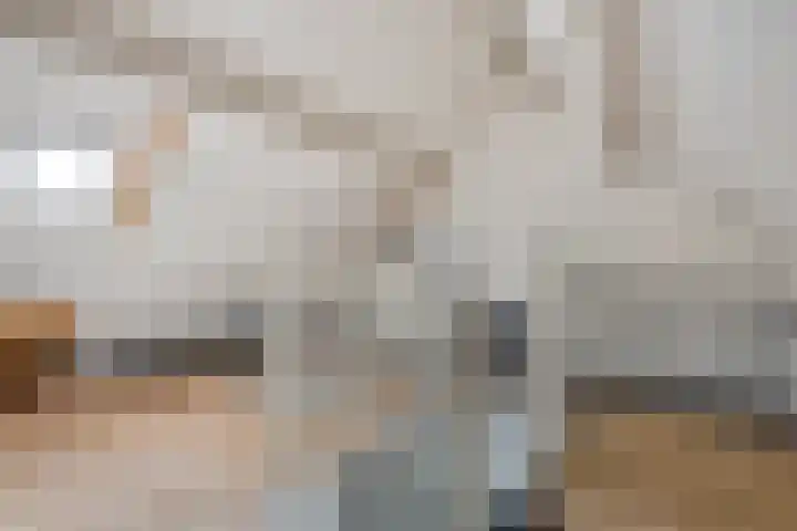 Kruiskamp 46 Eibergen thumbnail 29