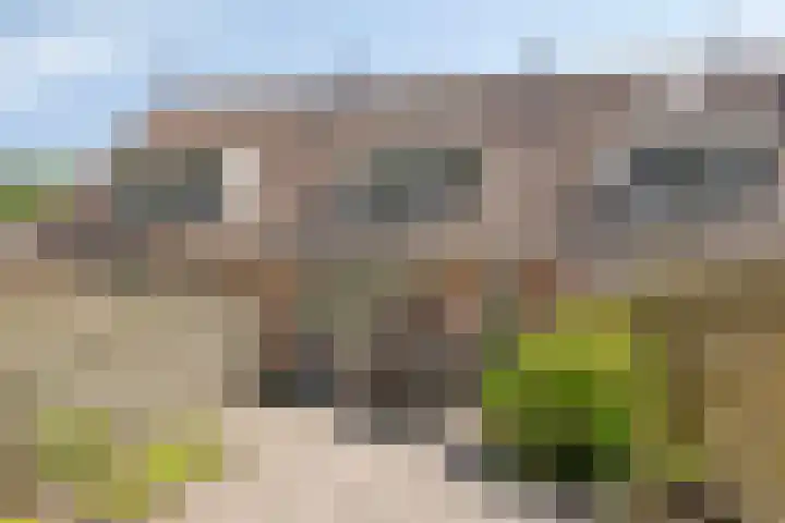 Kruiskamp 46 Eibergen thumbnail 33