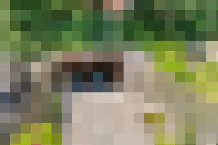 Kruiskamp 46 Eibergen thumbnail 34