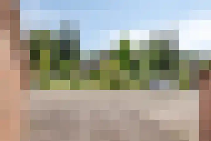 Kruiskamp 46 Eibergen thumbnail 37