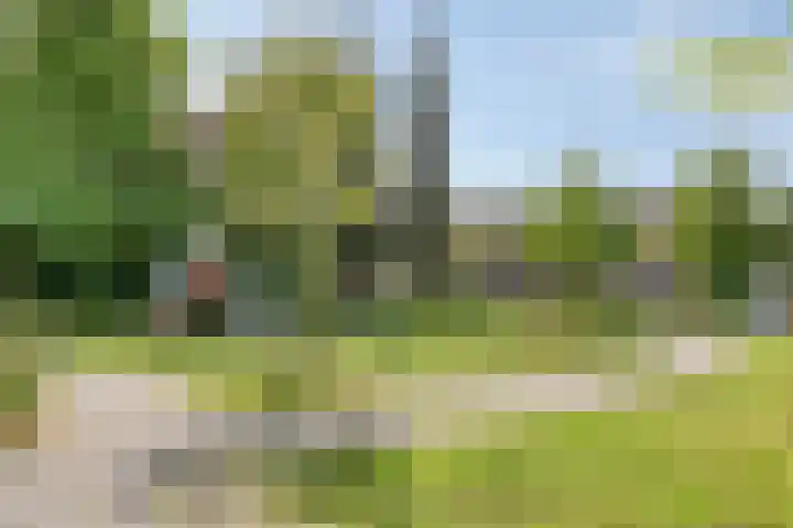 Kruiskamp 46 Eibergen thumbnail 38