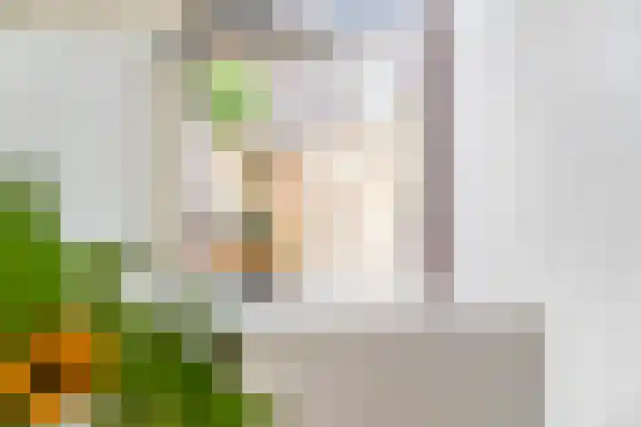 Kruiskamp 50 Amersfoort thumbnail 11