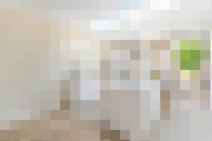 Kruiskamp 50 Amersfoort thumbnail 12