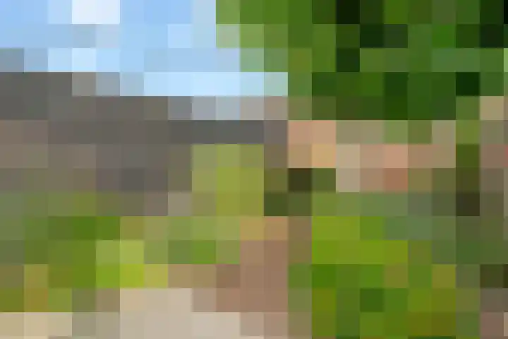 Kruiskamp 50 Amersfoort thumbnail 31