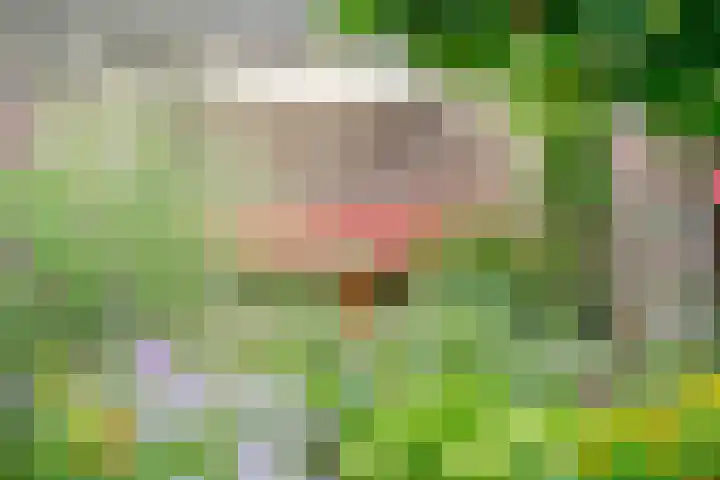 Kruiskamp 50 Amersfoort thumbnail 32