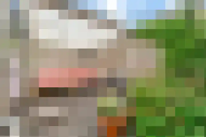 Kruiskamp 50 Amersfoort thumbnail 33