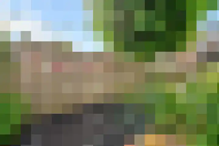 Kruiskamp 50 Amersfoort thumbnail 34