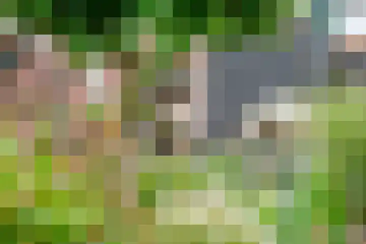 Kruiskamp 50 Amersfoort thumbnail 35