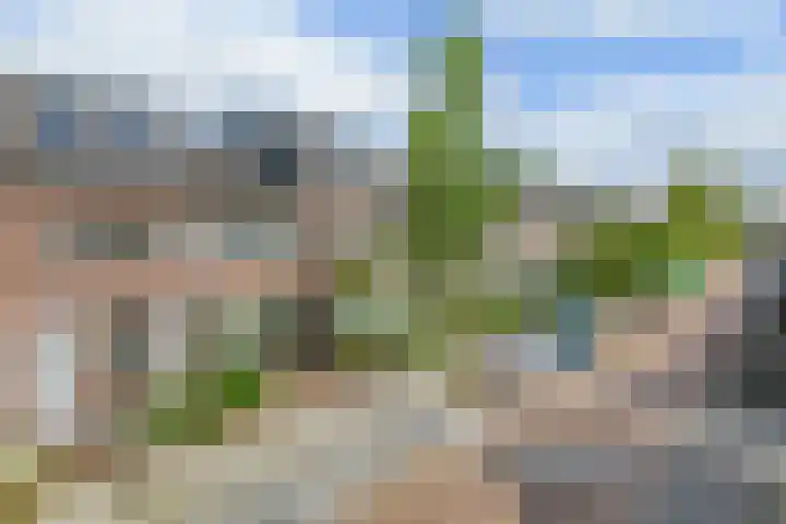 Kruiskamp 50 Amersfoort thumbnail 37