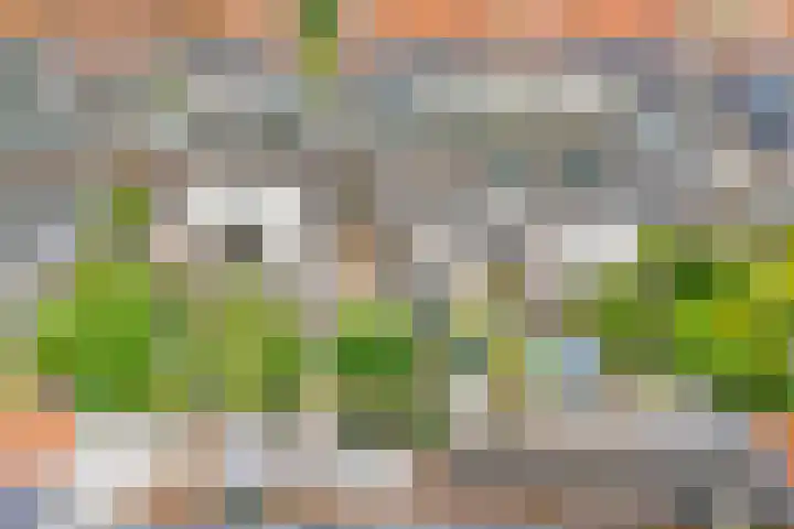 Kruiskamp 50 Amersfoort thumbnail 38