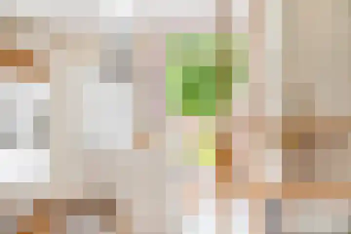 Kruiskamp 50 Amersfoort thumbnail 4