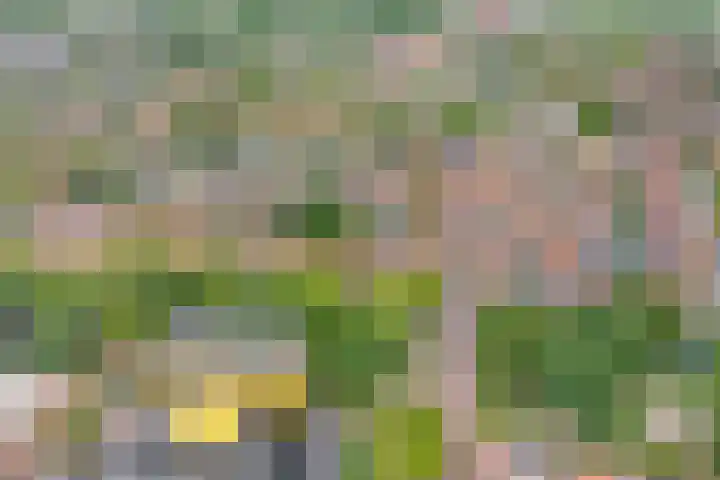 Kruiskamp 50 Amersfoort thumbnail 40