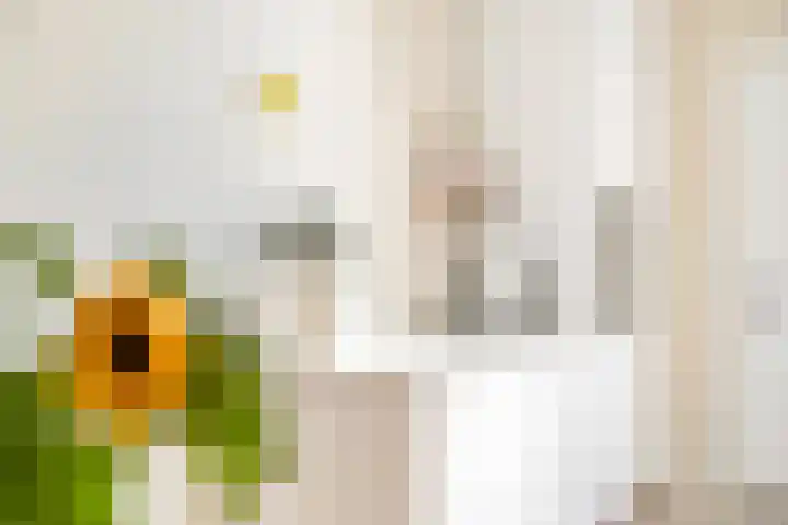 Kruiskamp 50 Amersfoort thumbnail 9