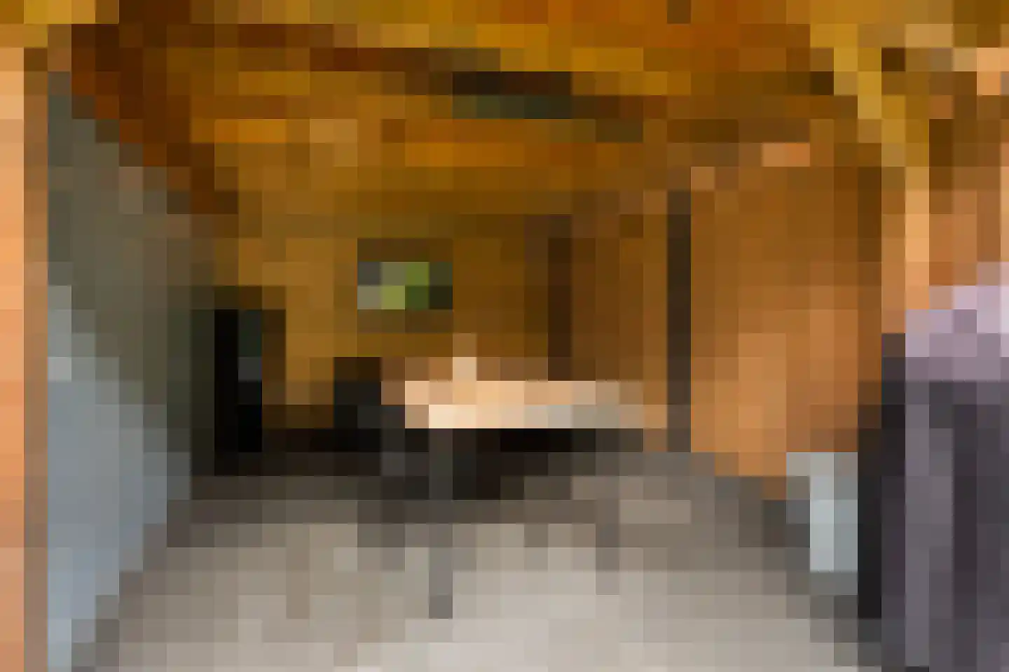 Kruiskamp 54 Eibergen thumbnail 27