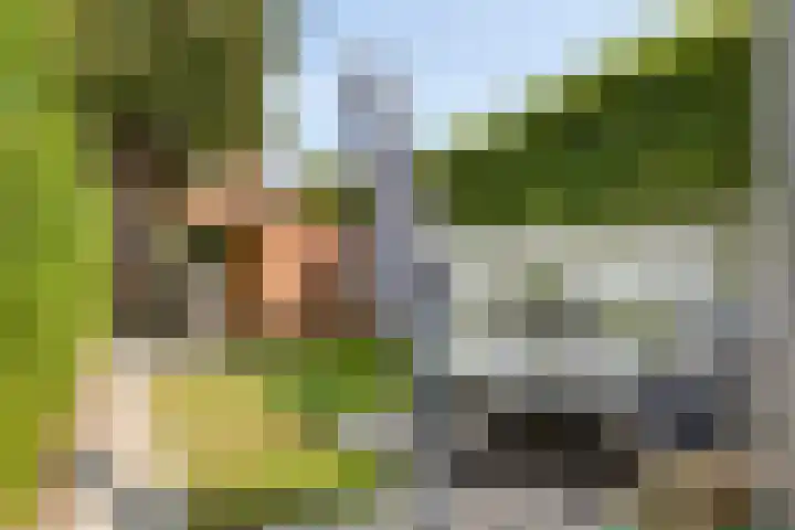Kruiskamp 68 Amersfoort thumbnail 27