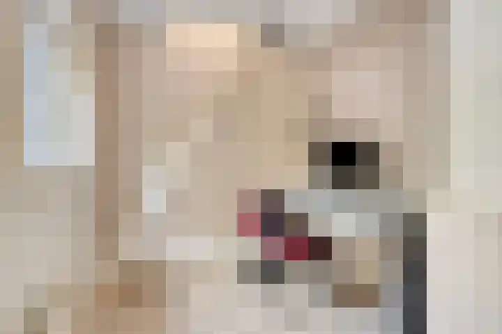 Kruiskamp 68 Amersfoort thumbnail 31