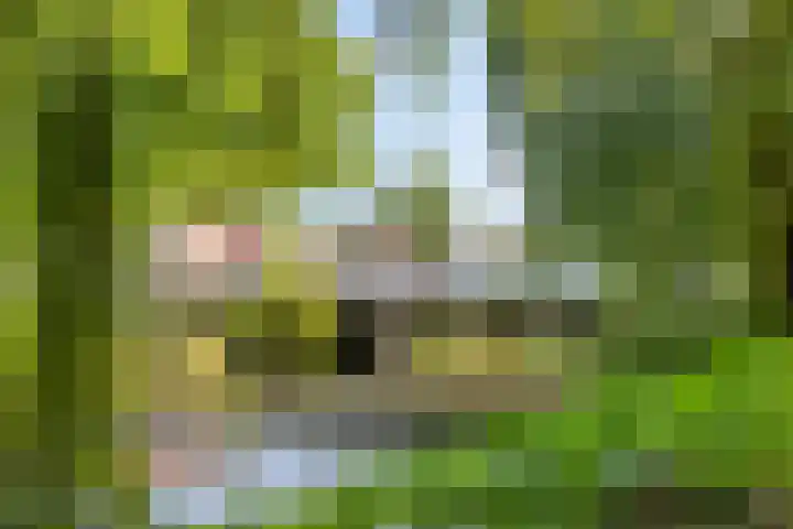 Kruiskamp 68 Amersfoort thumbnail 35