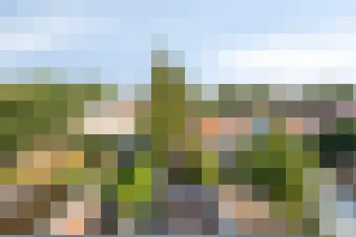 Kruiskamp 68 Amersfoort thumbnail 5