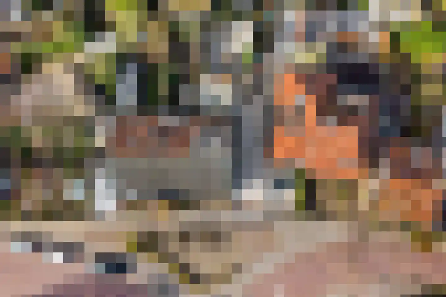 Kruiskamp 8 Amersfoort thumbnail 36
