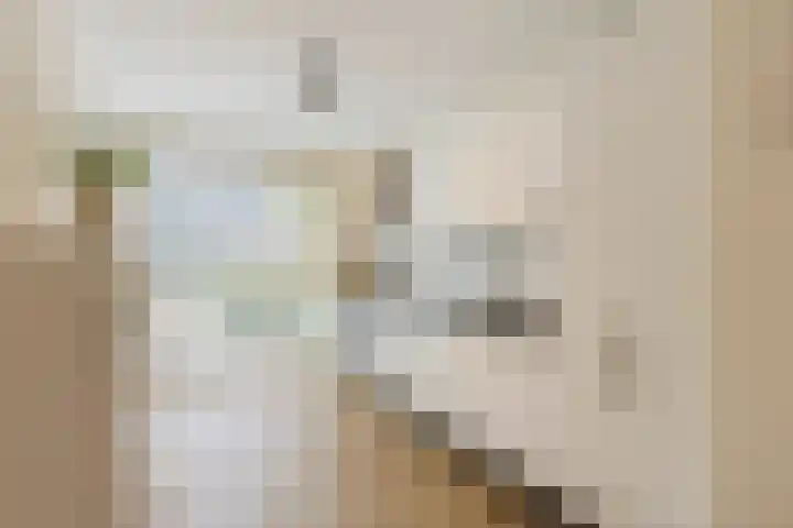 Kruiskamplaan 146 Uitgeest thumbnail 10