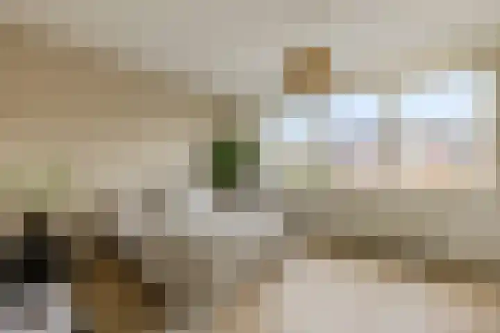 Kruiskamplaan 146 Uitgeest thumbnail 14