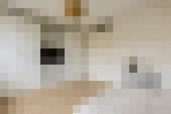 Kruiskamplaan 146 Uitgeest thumbnail 15