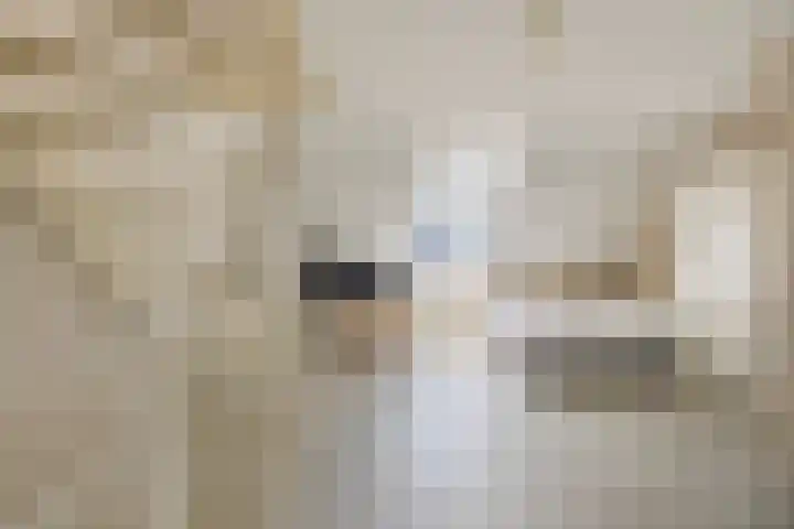 Kruiskamplaan 146 Uitgeest thumbnail 22