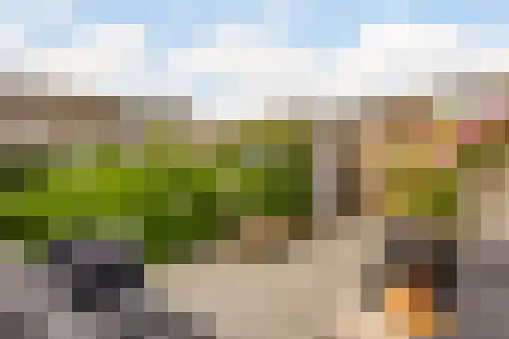 Kruiskamplaan 146 Uitgeest thumbnail 26