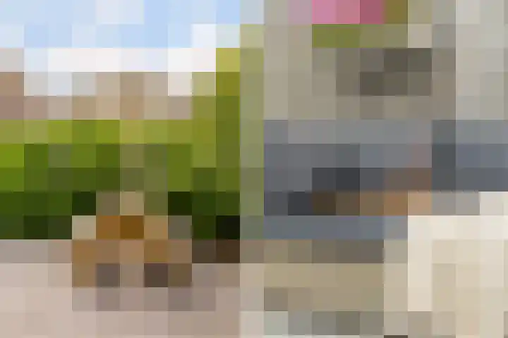 Kruiskamplaan 146 Uitgeest thumbnail 27