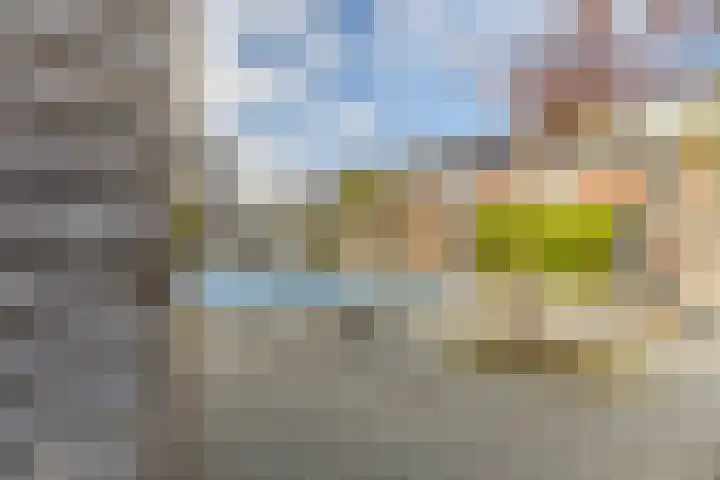 Kruiskamplaan 146 Uitgeest thumbnail 29