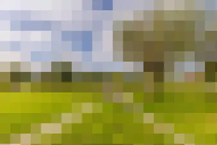 Kruiskamplaan 146 Uitgeest thumbnail 30