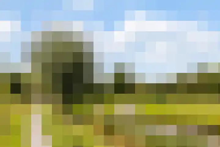 Kruiskamplaan 146 Uitgeest thumbnail 31