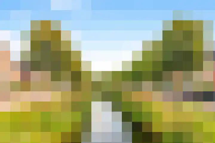 Kruiskamplaan 146 Uitgeest thumbnail 32