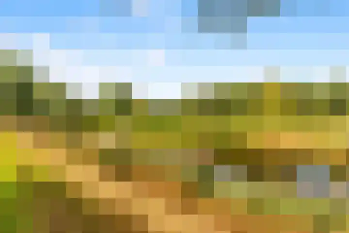 Kruiskamplaan 146 Uitgeest thumbnail 33